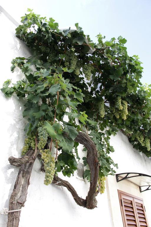 Il Trullo Di Giada E Mattia Villa Alberobello Exterior photo